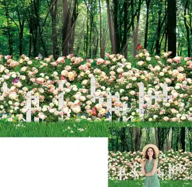 -backdrop -backdrop-2023111301 7 5ft Forest Garden Grassland Spring Fence Flowers Trees Background Nat