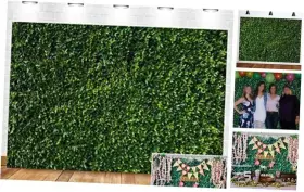 Xh-us-xh131-10x8-fba Art Studio 117inch X 93inch Green Leaves Photography Backdrops Spring Nature Party