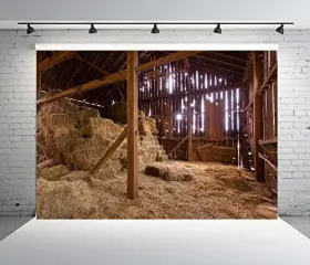 L-0015-96 Beleco 9x6ft Fabric Farm Barn Backdrop Nativity L-0015 #2