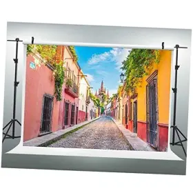 Eoa Workshop 10636 7 W X5 H Ft Mexico Streets Photography Backdrop Alley Pathway San Miguel De