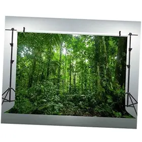 Eoa Xp168 7 W X5 H Ft Green Tropical Rainforest Backdrop Jungle Forest Evergreen