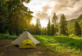 Q3-22x15nbk08904 Lfeey Pine Forest Camping Backdrop For Photoshoot Sunrise Outdoor Travel 7x5ft #2