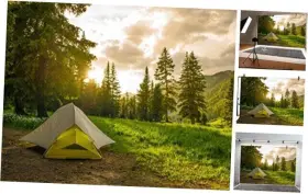 Q3-22x15nbk08904 Lfeey Pine Forest Camping Backdrop For Photoshoot Sunrise Outdoor Travel 7x5ft