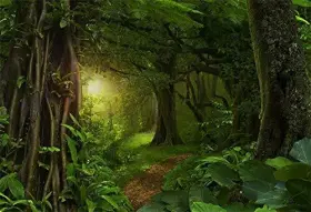 Q3-3x25nsw05976 Lfeey Fairytale Rainforest Photo Backdrop Kids Birthday Party Events Decor 10x8ft #2