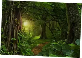 Q3-3x25nsw05976 Lfeey Fairytale Rainforest Photo Backdrop Kids Birthday Party Events Decor 10x8ft
