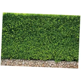 Q3-3x25nwh08904 Lfeey 10x8ft Green Leaf Backdrops For Photography Ivy Plants
