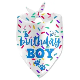 Gtj018 Lmaurrizt Birthday Boy Dog Bandanas For Photo Props - Happy Party Accessories
