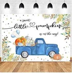 Yingeqiao2022-021226182305 Yingeqiao Baby Shower Photography Backdrop A Sweet Pumpkin Is On The Way Newborn #2