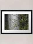 Nature's Backdrop Framed Art Print Wall Poster Canvas Picture. Fixed Price $47.20.