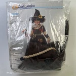 California Costumes Toddler 3T-4T Pumpkin Patch Scarecrow Hat Collar And Dress. Fixed Price $15.99.