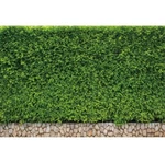 Lfeey 10X8FT Green Leaf Backdrops For Photography Ivy Plants Photograph.... Fixed Price $46.76.
