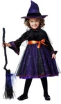 California Costume Halloween Spellcaster Wicked Witch Sz M-missing Part. Fixed Price $9.00.